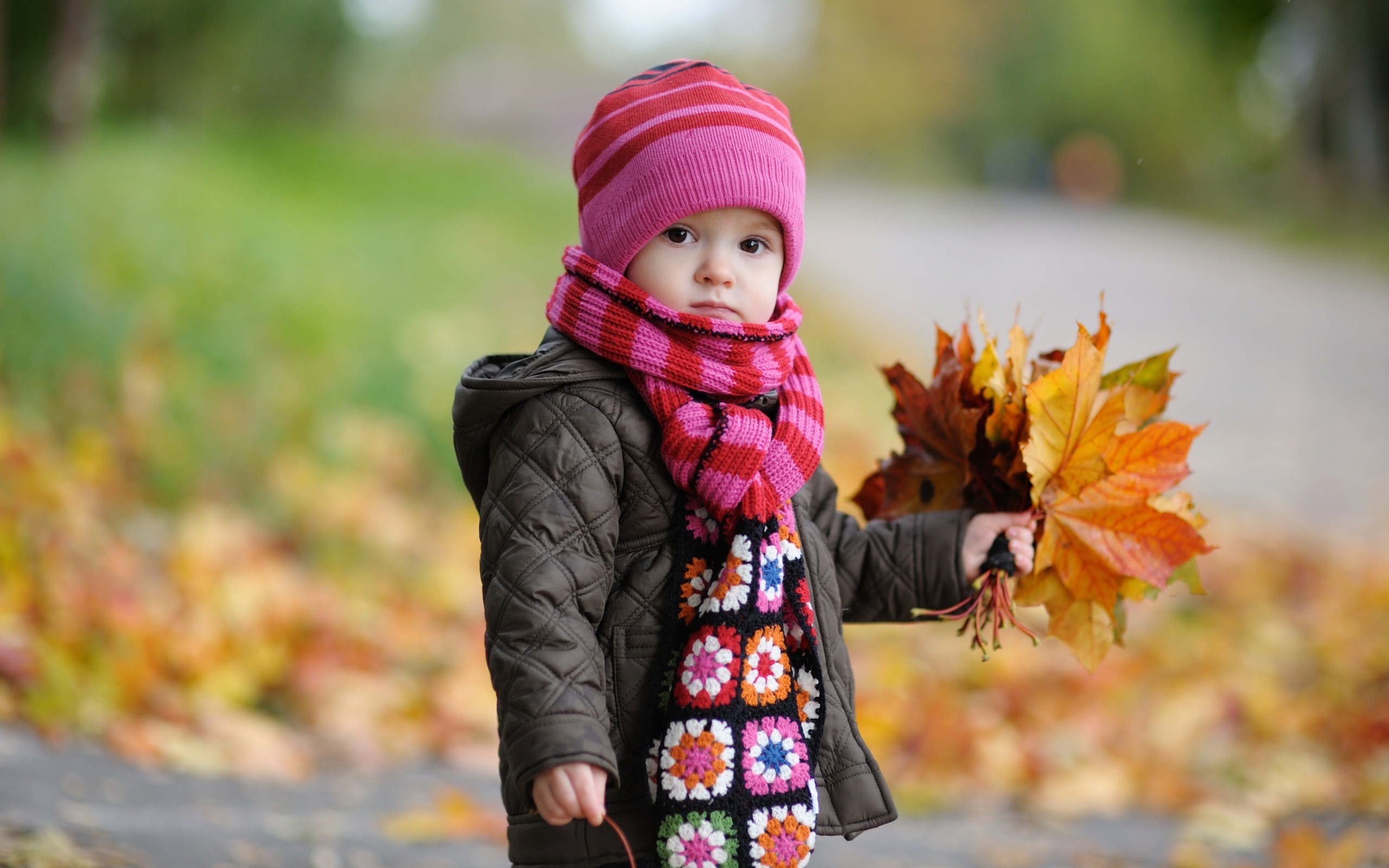 Beautiful Baby Girl in Autumn HD Wallpapers