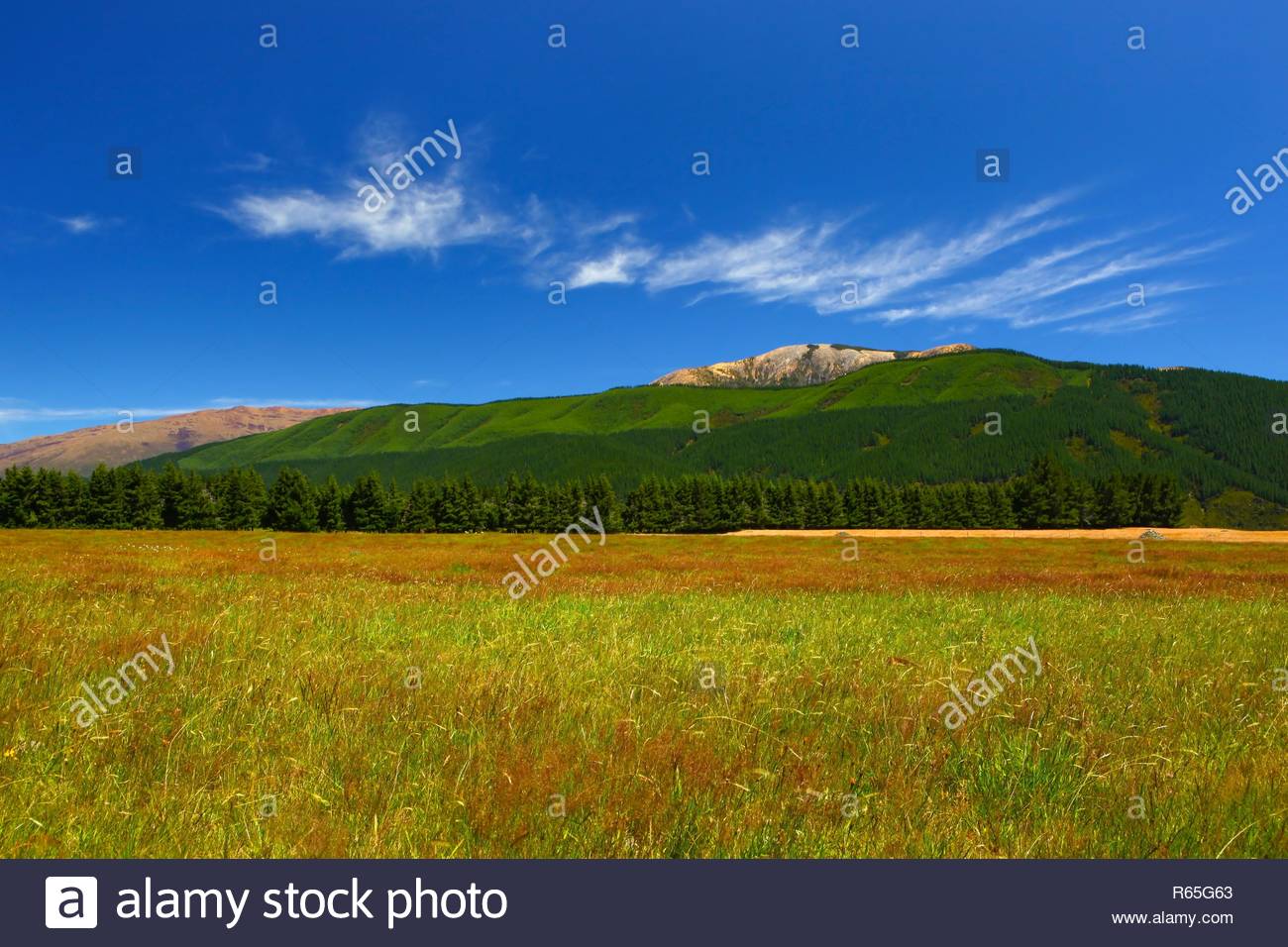 A Green Meadow With The Richmond Mountain Range In Background