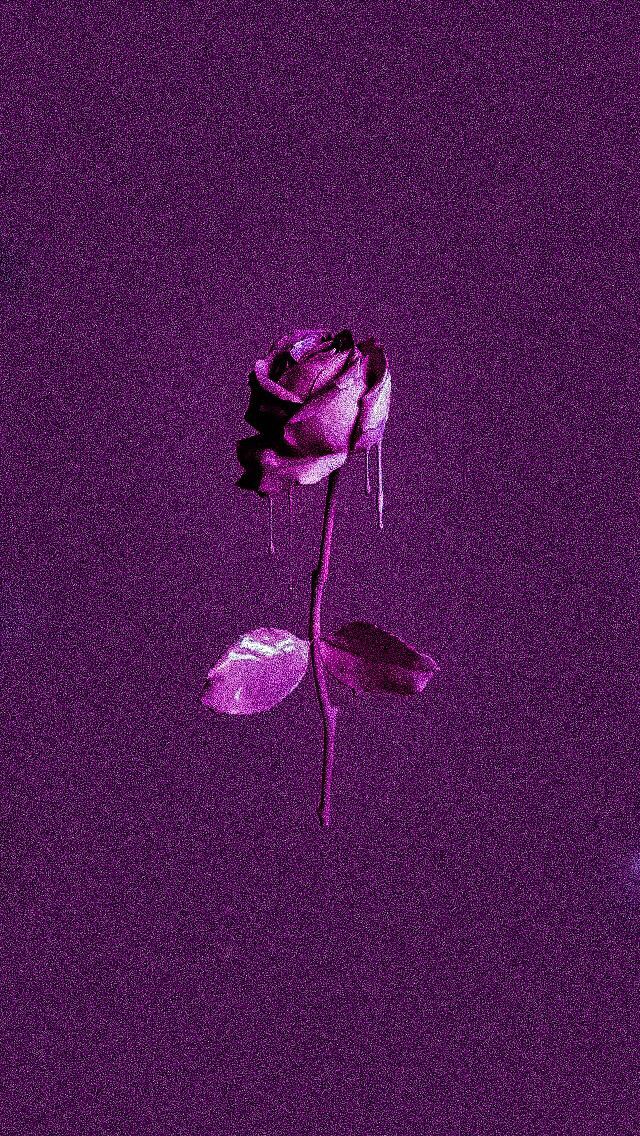 Purple Rose Grain Effect Paint HD Photography Wallpaper