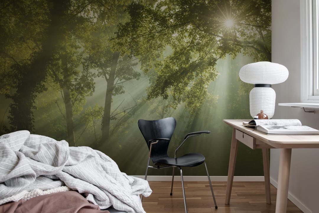 Sun Rays Wallpaper