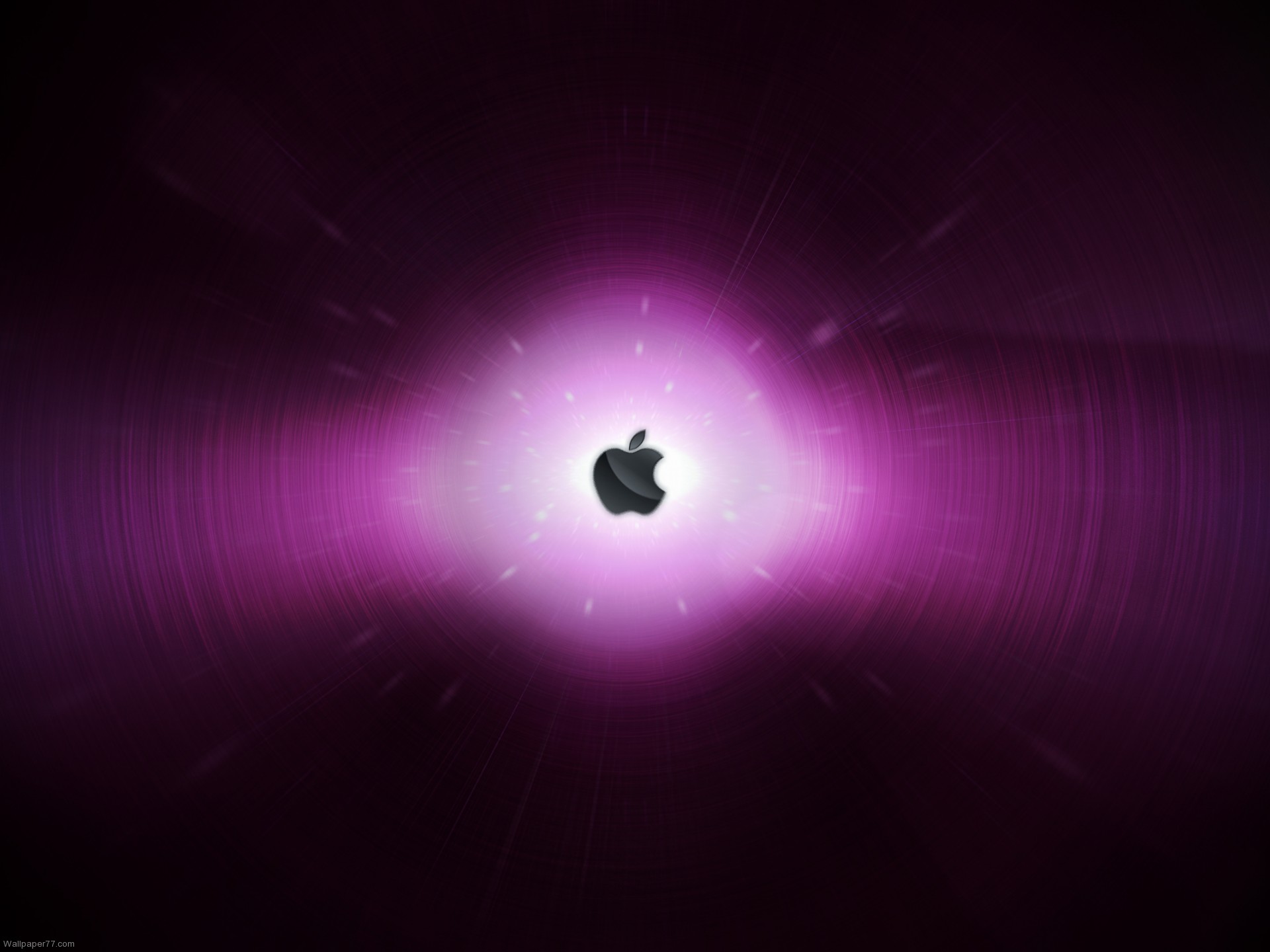 Purple Apple Wallpaper Image Amp Pictures Becuo