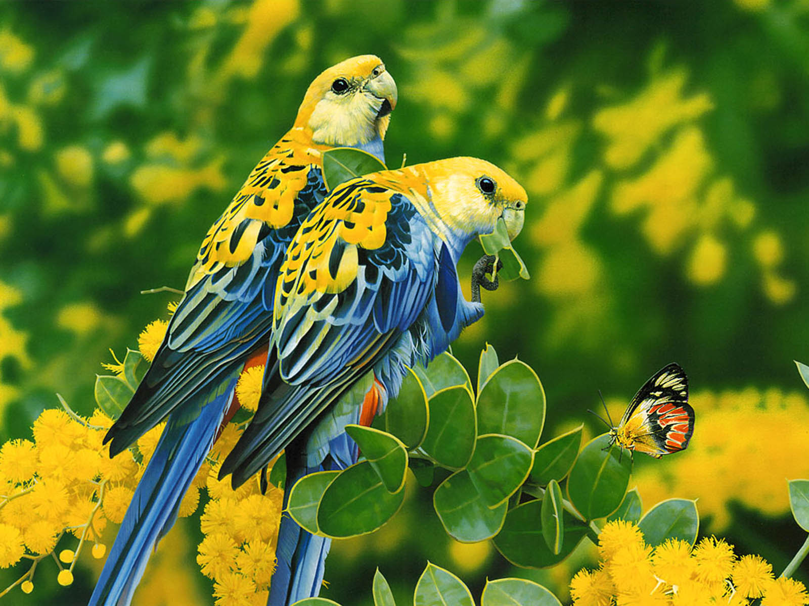 wallpapers Love Birds Desktop Wallpapers