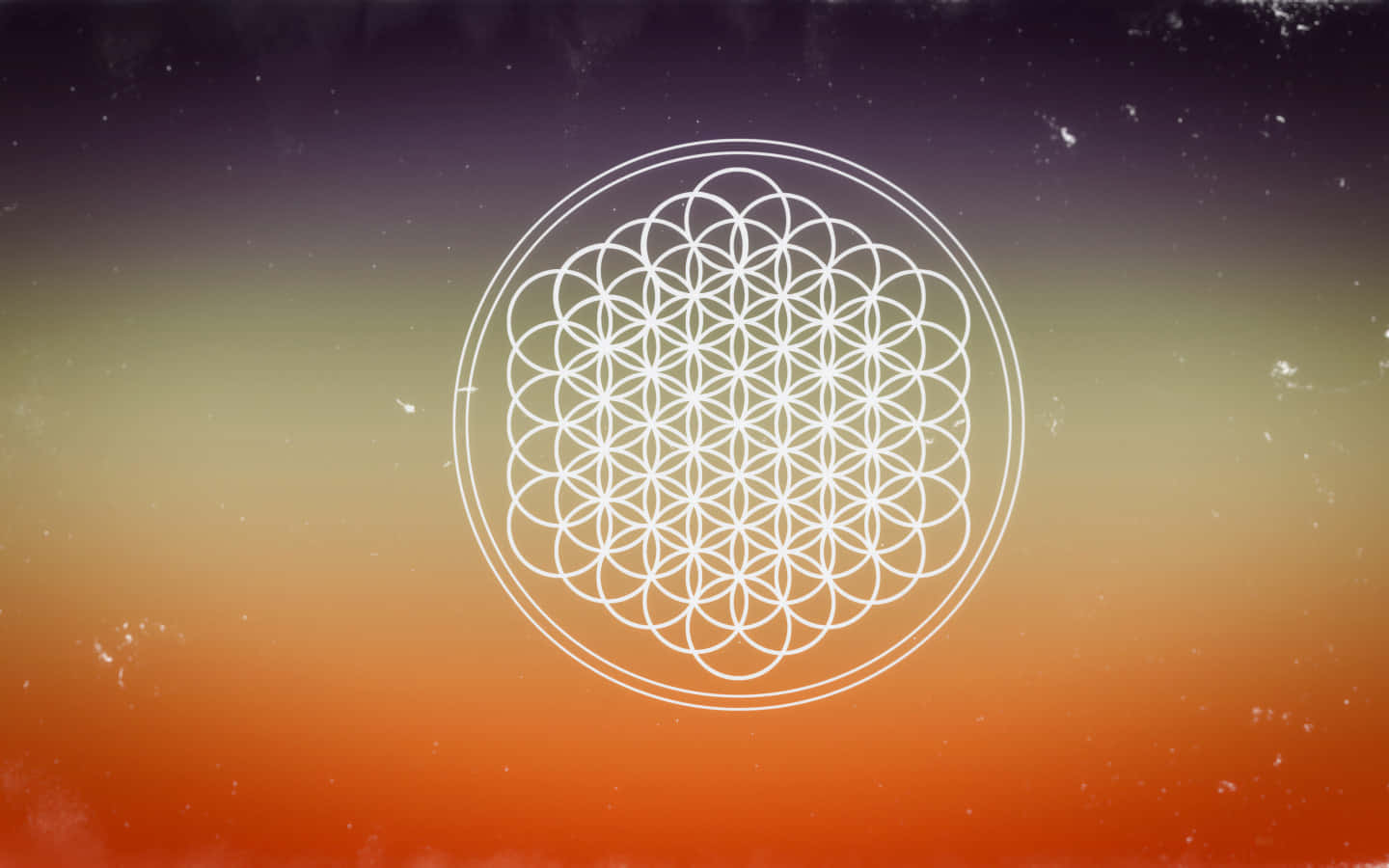 Flower Of Life Wallpaper