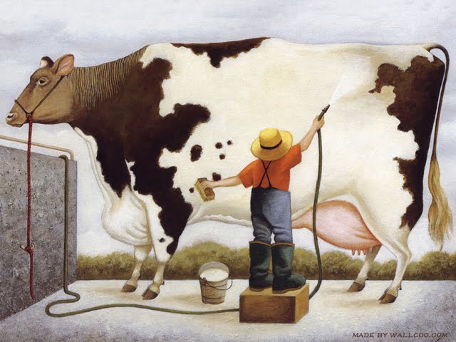 Lowell Herrero Cows Cows Cows Wallpapers Funny Farm Animal Paintings