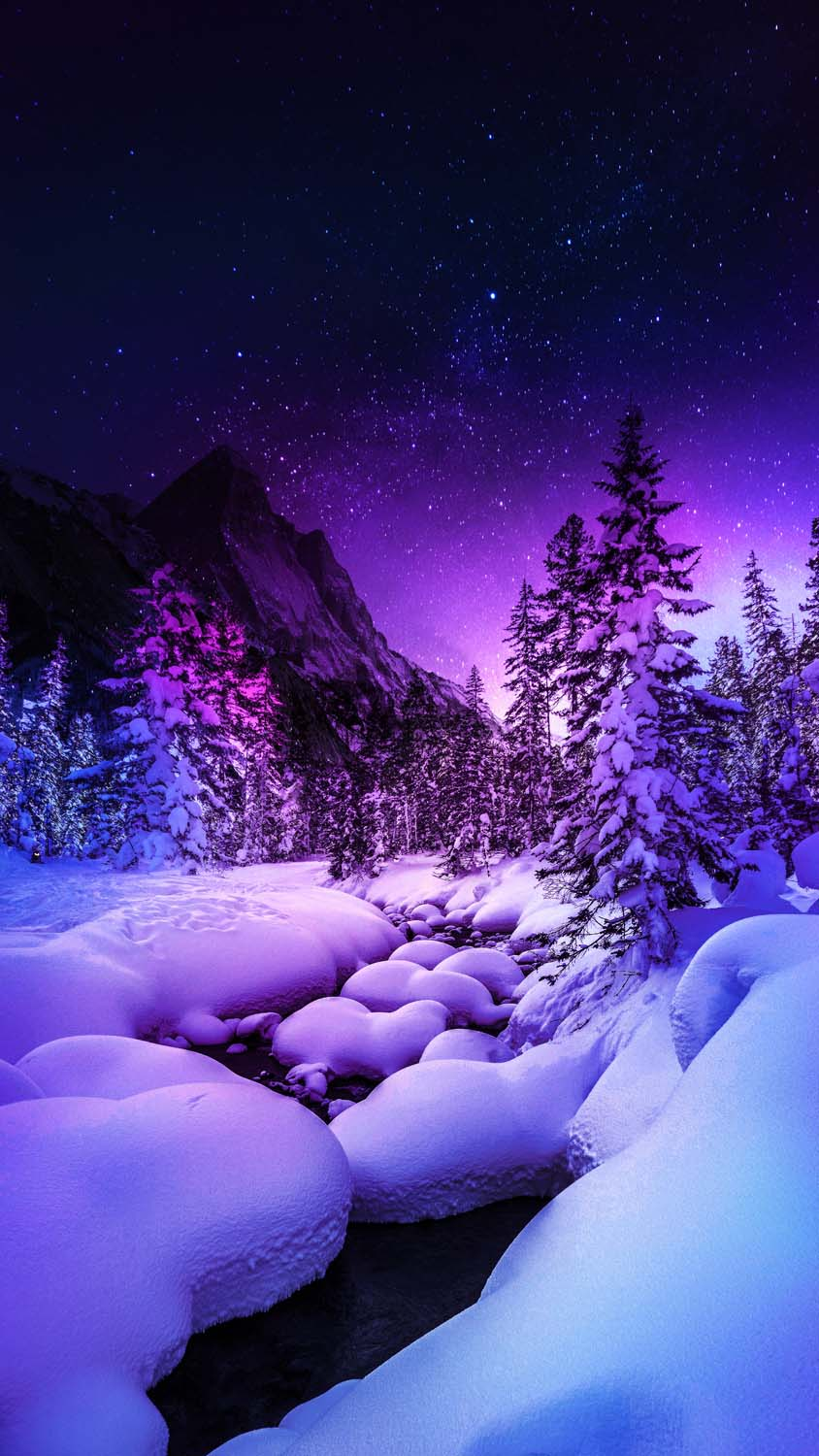 Heavy Snow Fall In Forest iPhone Wallpaper HD