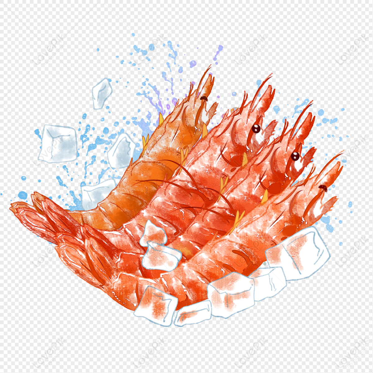 Fresh Prawns Png Image With Transparent Background Wallpaper