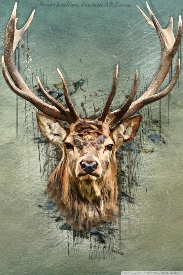 Deer Hunting Wallpaper Paulbabbitt