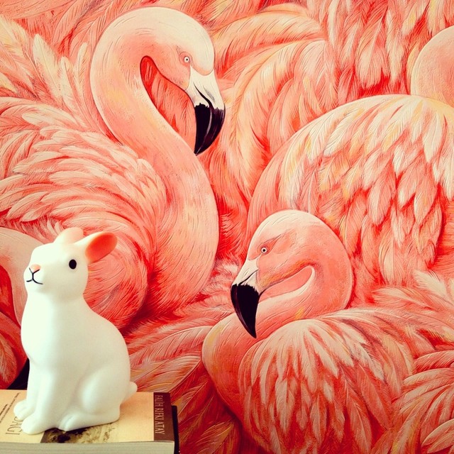 Flamingo Wallpaper Residential Application Tropical
