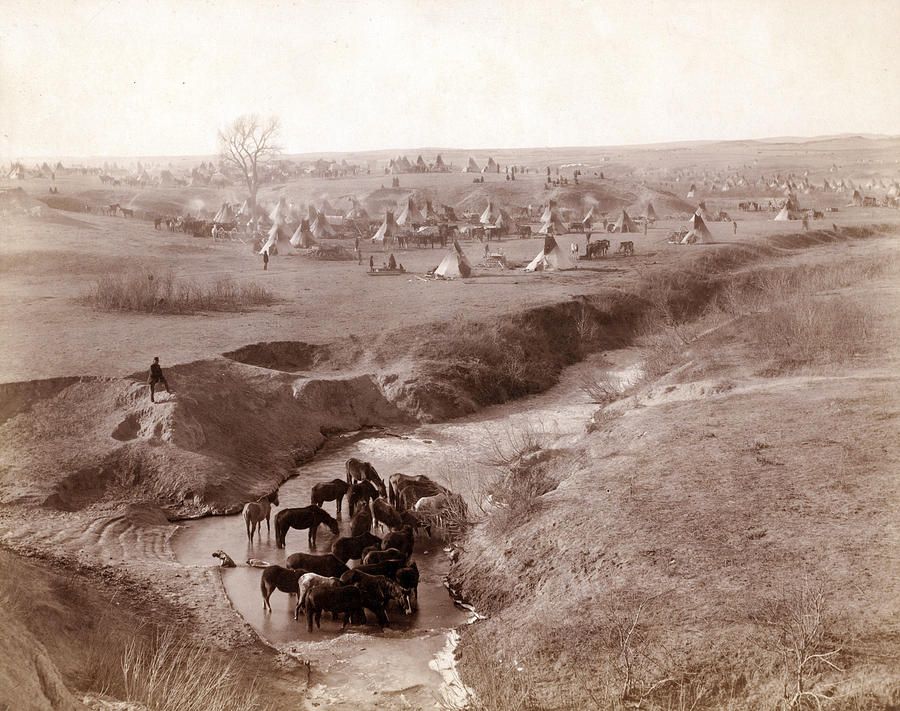 Villa Of Brule A Lakota Sioux Tipi By Everett Old Photos