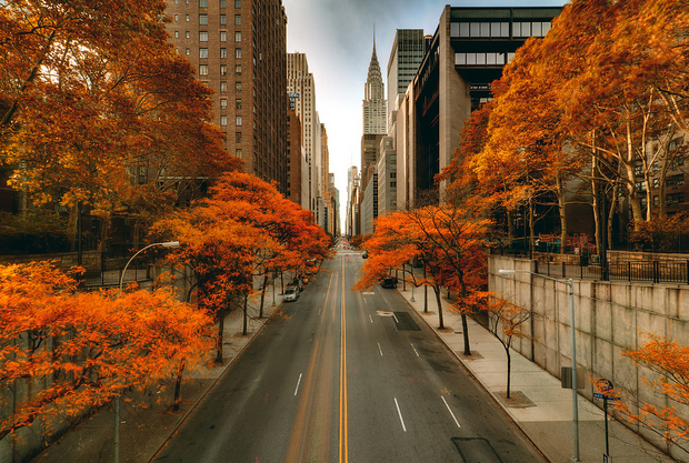 Fall In New York City