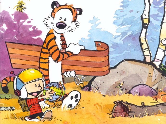Calvin And Hobbes Collection Books Worth Reading