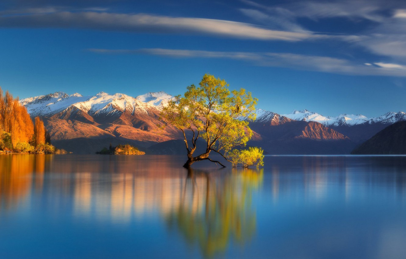 Wallpaper Mountains Lake Tree New Zealand Wanaka Image