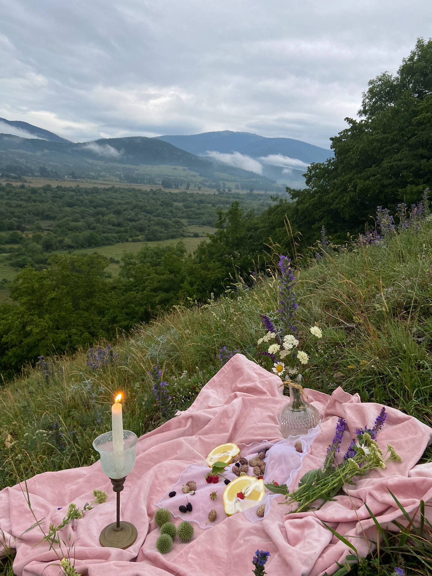 Picnic Date Hill Wallpaper