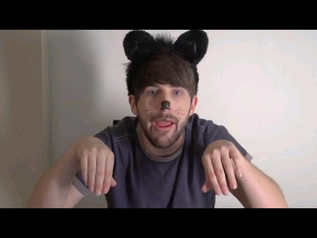 Smosh Ian The Cute Cat Gif By Brookecphotography