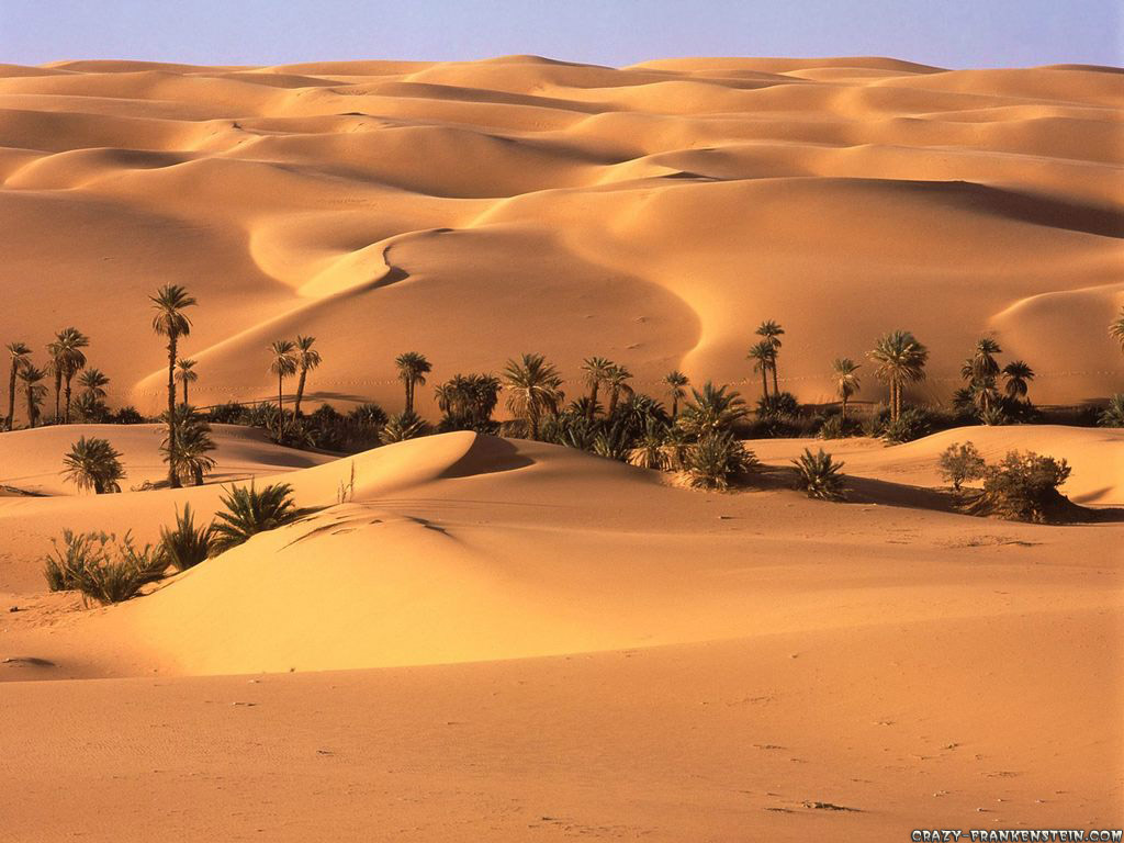 Desert Oasis Libya HD Wallpaper X Jpg