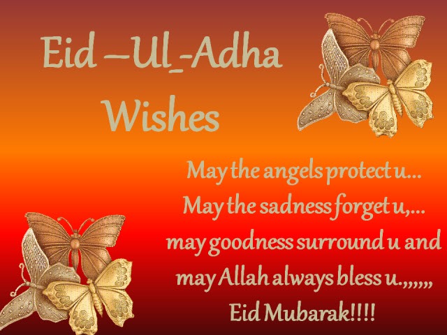 HD Wallpaper Of Eid Ul Adha Share Your Moments With Ourdunya