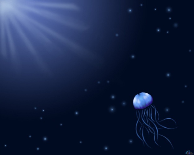 Wallpaper Jellyfish 3d Desktop And Photos