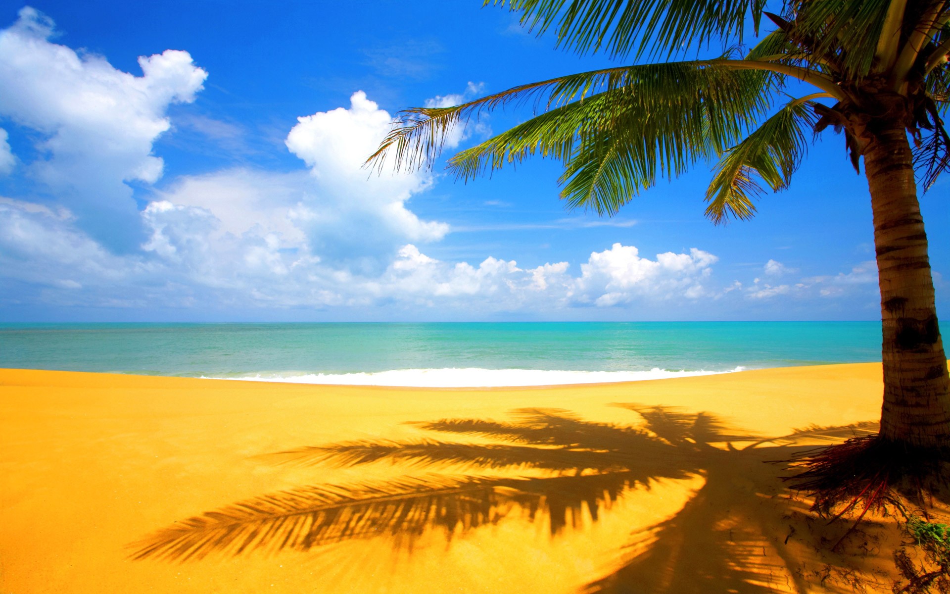  Download Wallpaper Beach Photos Pictures Image By emilyc Beachy 