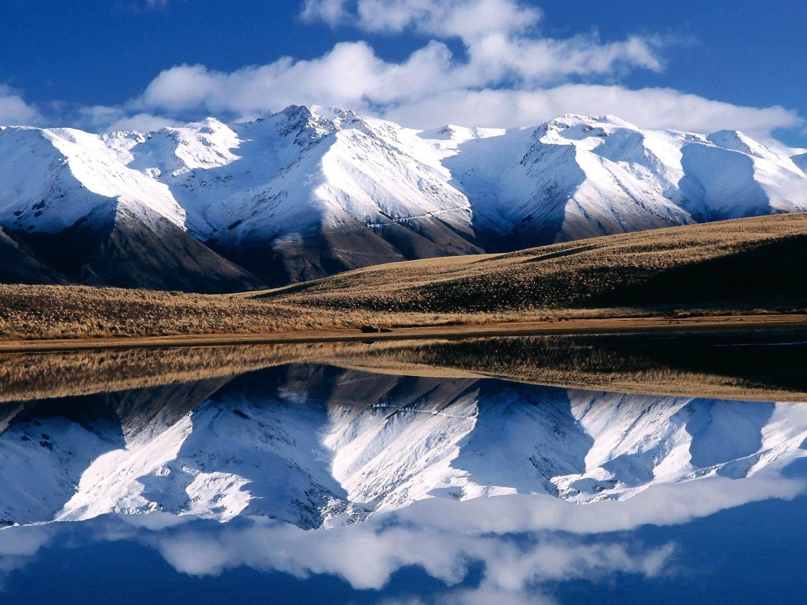 India New Zealand Country Nature Wallpaper