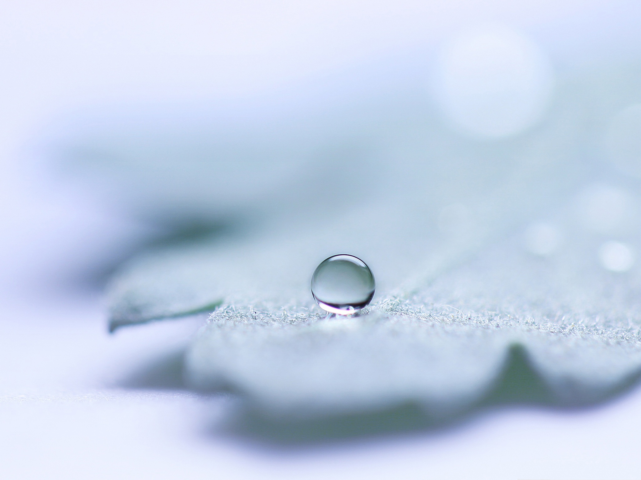 Wallpaper Background Rounded And Crystal Clear Waterdrop