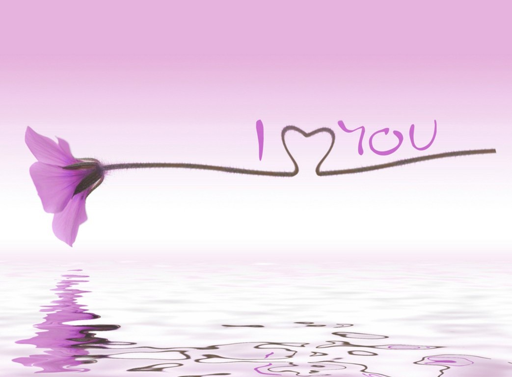 Cute Love Purple Background Wallpaper HD High