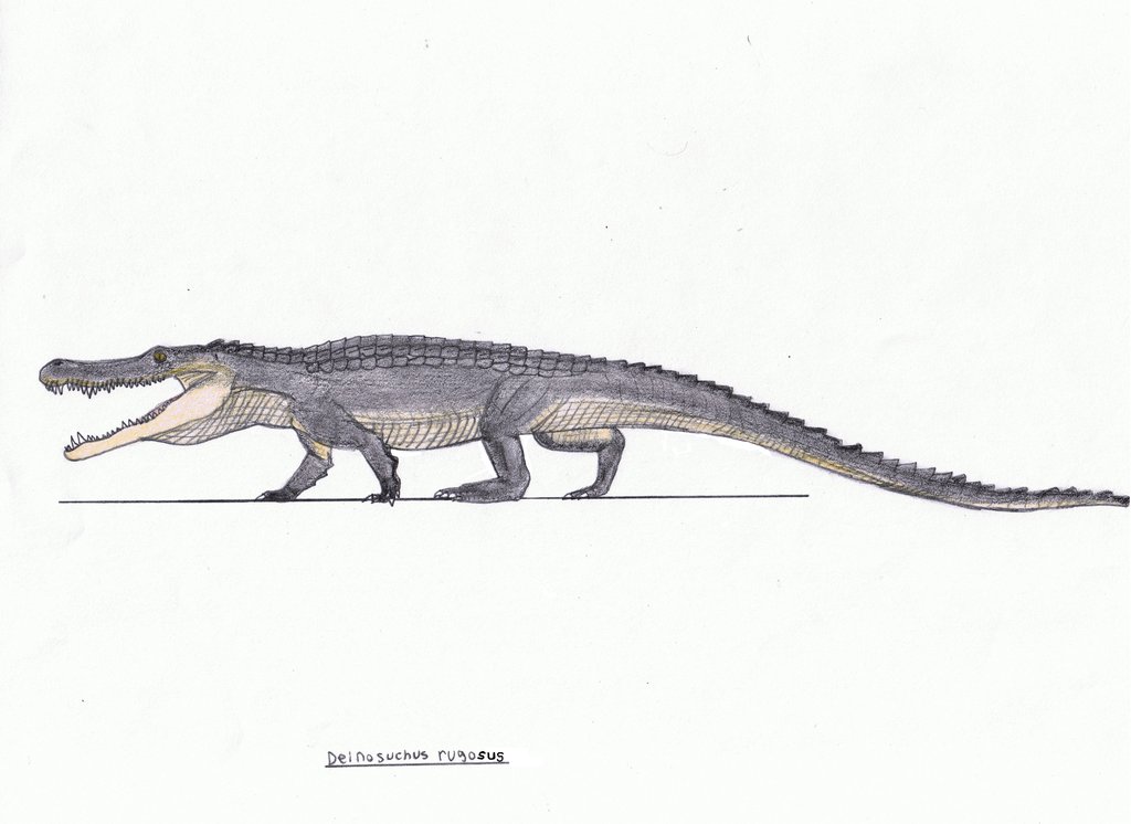 Deinosuchus Rugosus By Pappasaurus