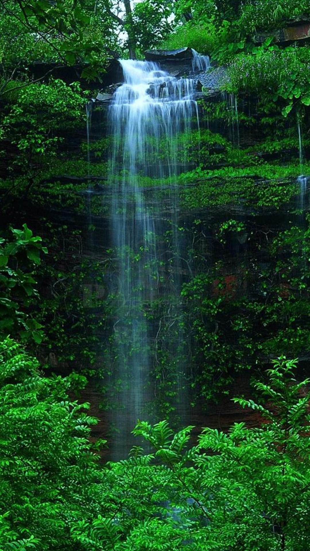 Forest Waterfall iPhone Wallpaper