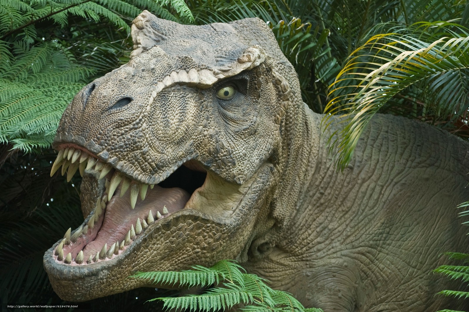 Wallpaper T Rex Dinosaur Jurassic Park Desktop