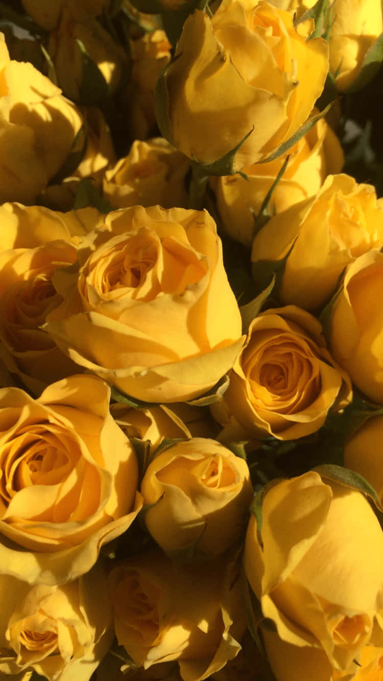 Yellow Aesthetic iPhone Wallpaper