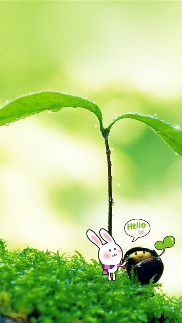 Cute Plant Hello Wallpaper For iPhone HD