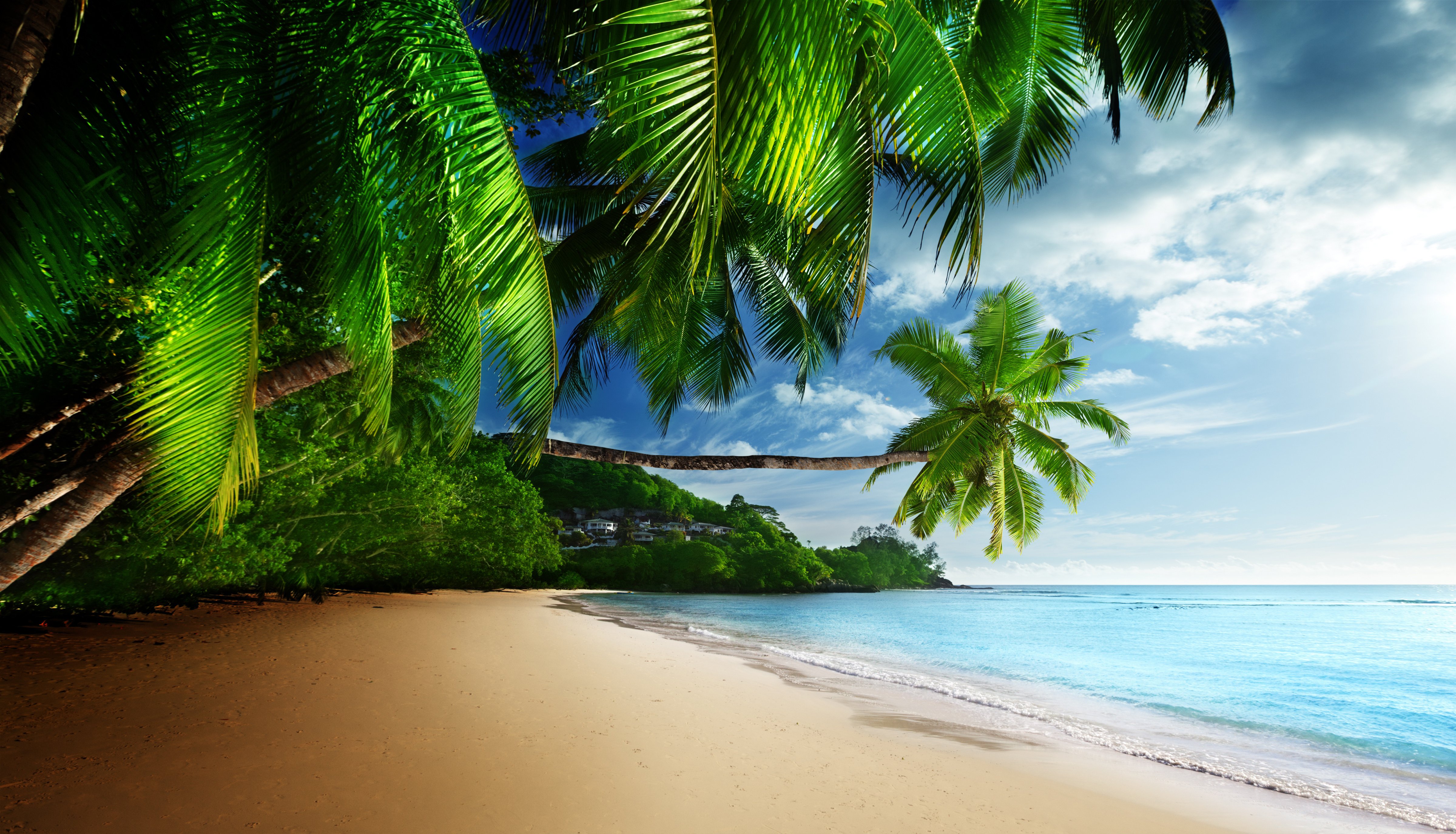 Coast Paradise Tropical Sea Sky Sunshine Emerald Blue