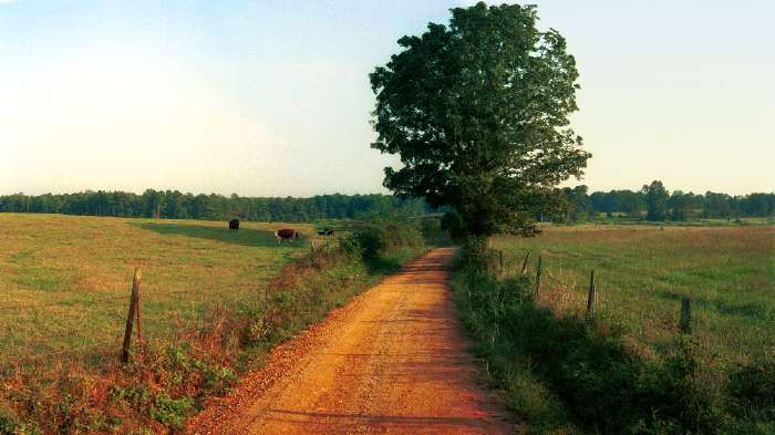 Country Backroad Wallpaper I Like Music
