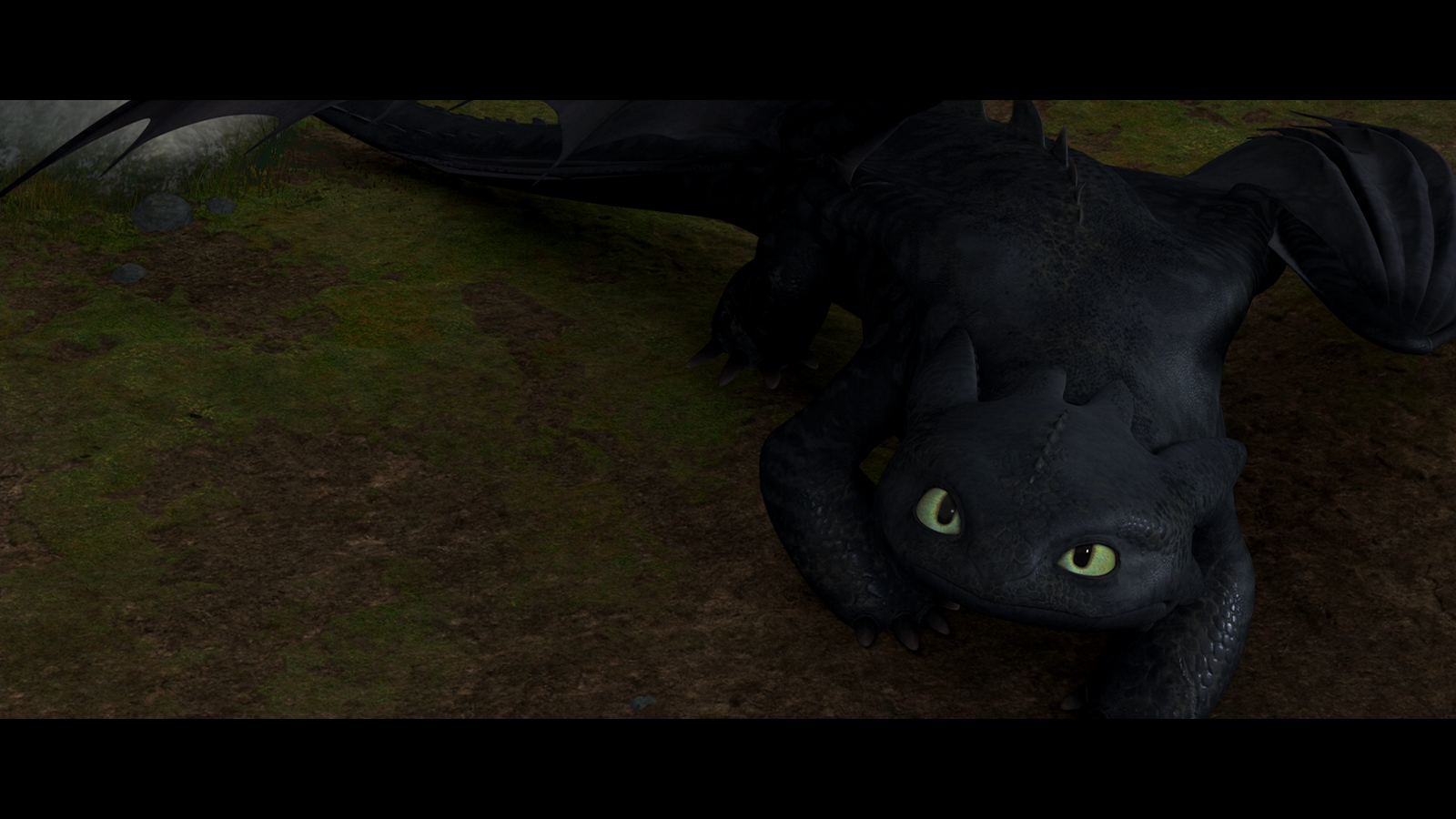 Cute Toothless Wallpaper Presenting