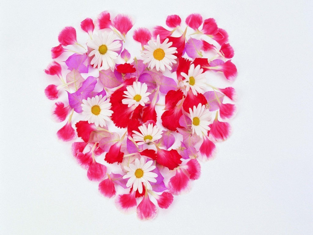 Heart Of Flowers Desktop Pc And Mac Wallpaper