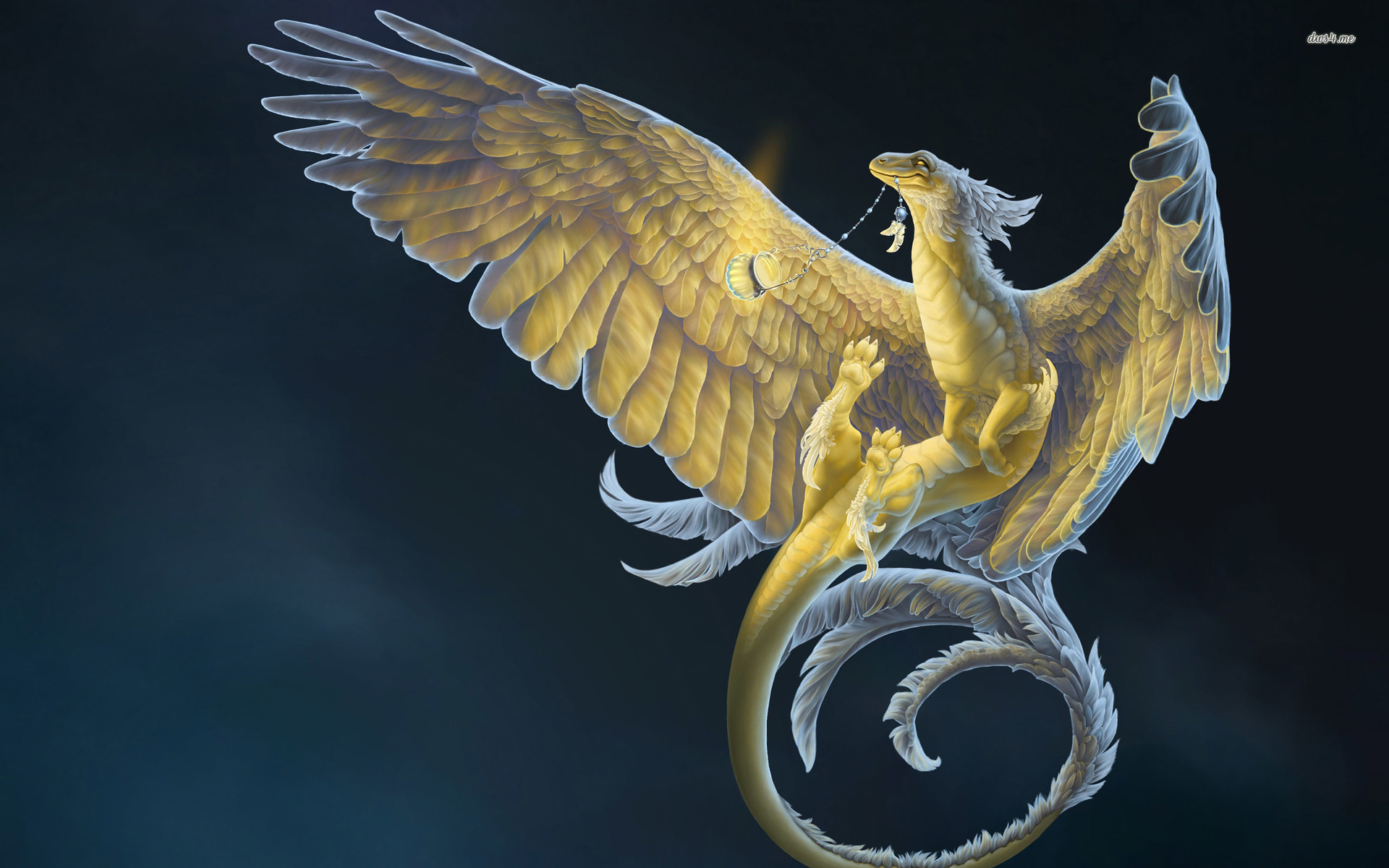 Dragon With Golden Feathers Wallpaper Fantasy
