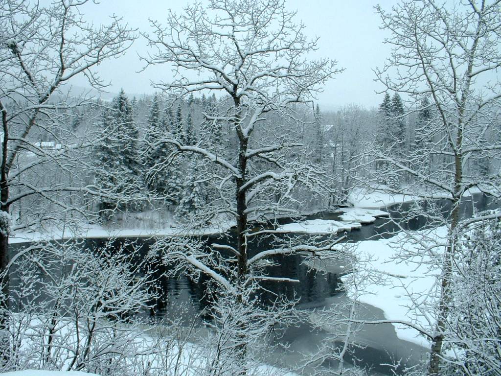 Fort Kent ME Winter in Fort Kent Maine photo picture image Maine