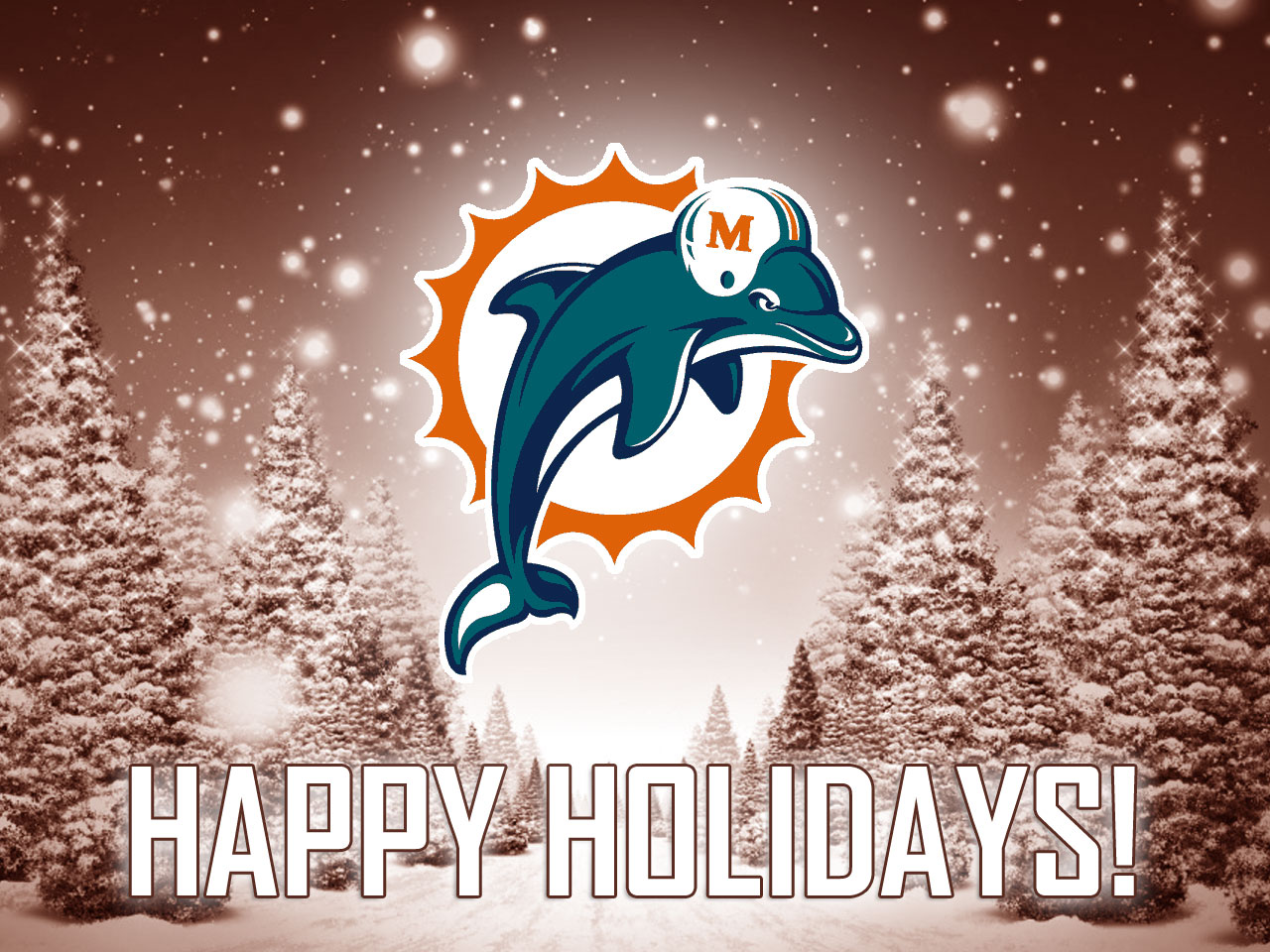 Miami Dolphins Wallpaper For The iPhone And Ipod Touch Male Models