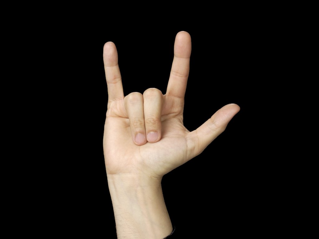 Love You American Sign Language Asl
