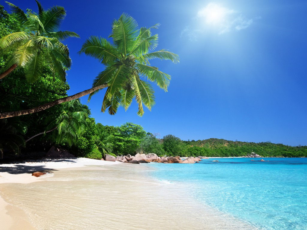 Summer Scenes Wallpaper HD Background Of Your Choice