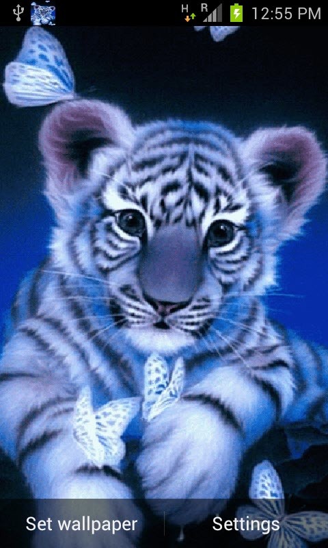 Blue Baby Tiger Live Wallpaper Android Live Wallpaper download 480x800
