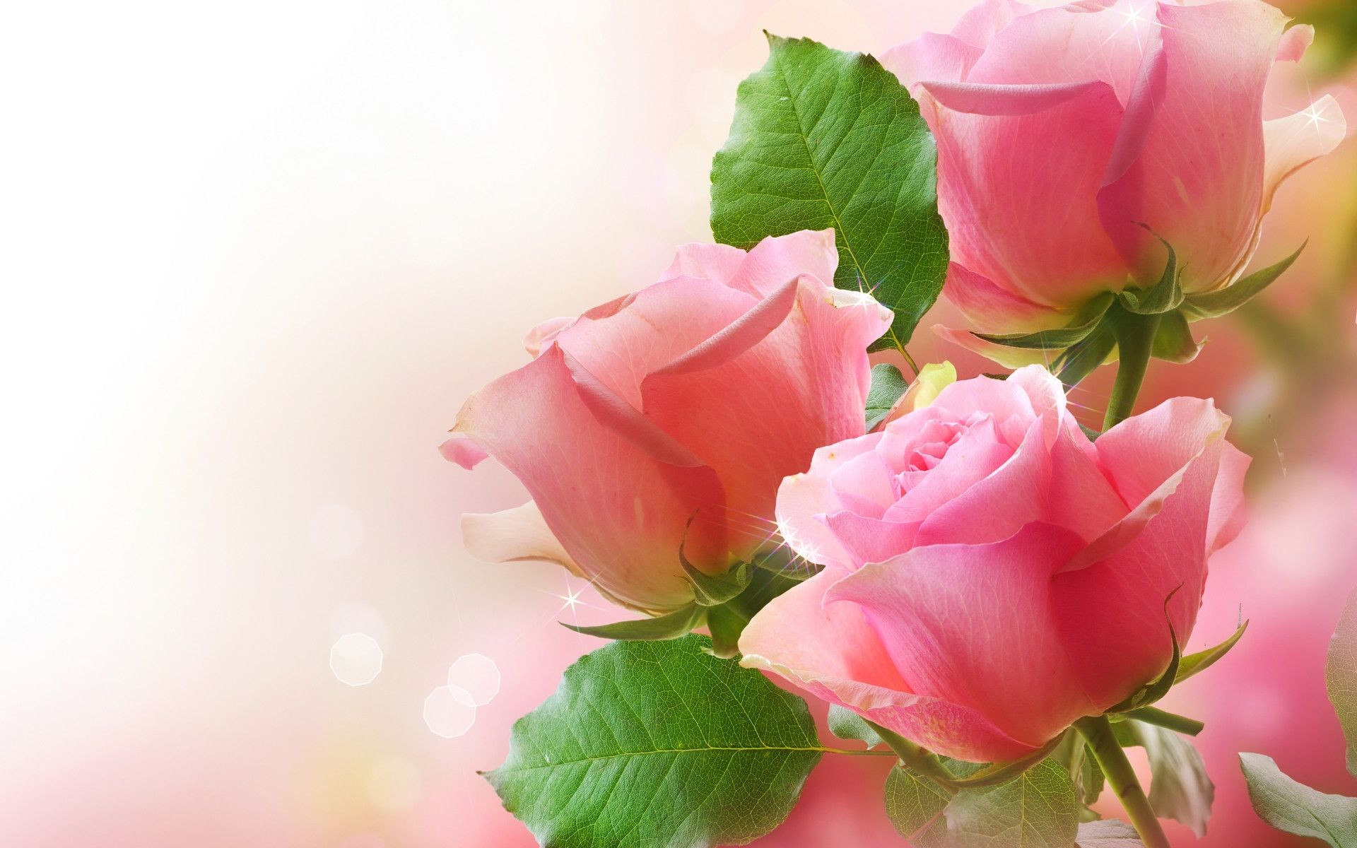 Free download 57 Love Flower Wallpapers ...