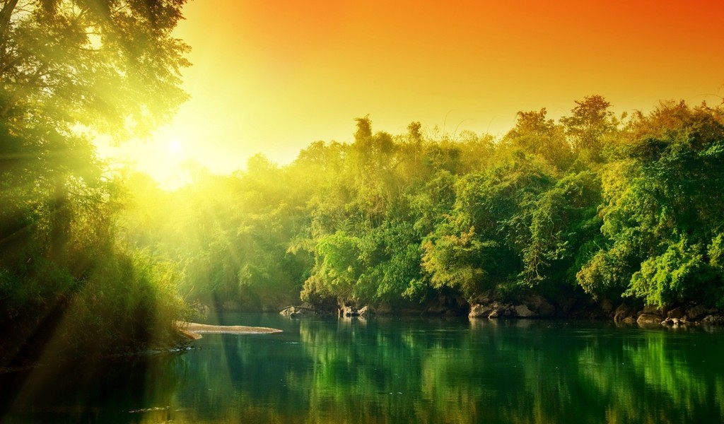Sunrise Over The Green Nature And Lake HD Wallpaper