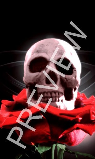 Vampire Red Rose Skull Android Background Wallpaper And Home Lock
