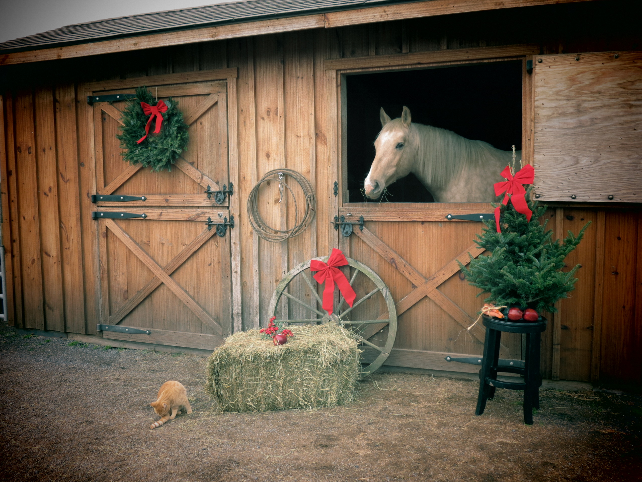 Country Weihnachten Merry Christmas Horse Barn