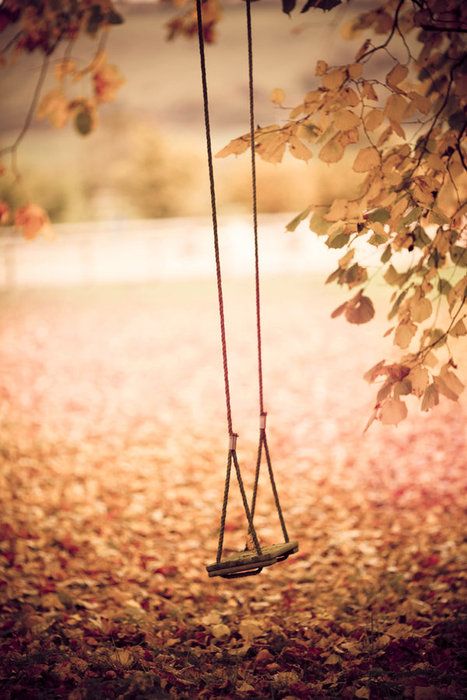 Best Image About Tree Swing Garden