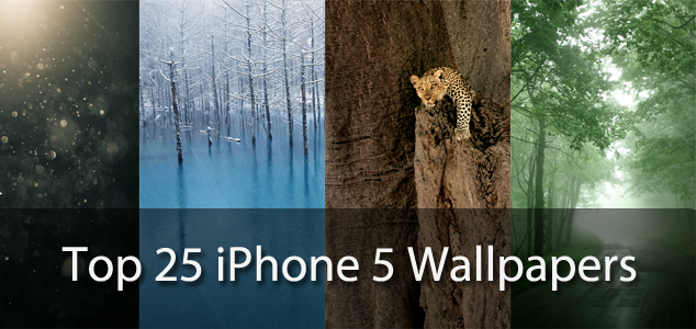 The Top Best iPhone Wallpapers In x Resolution