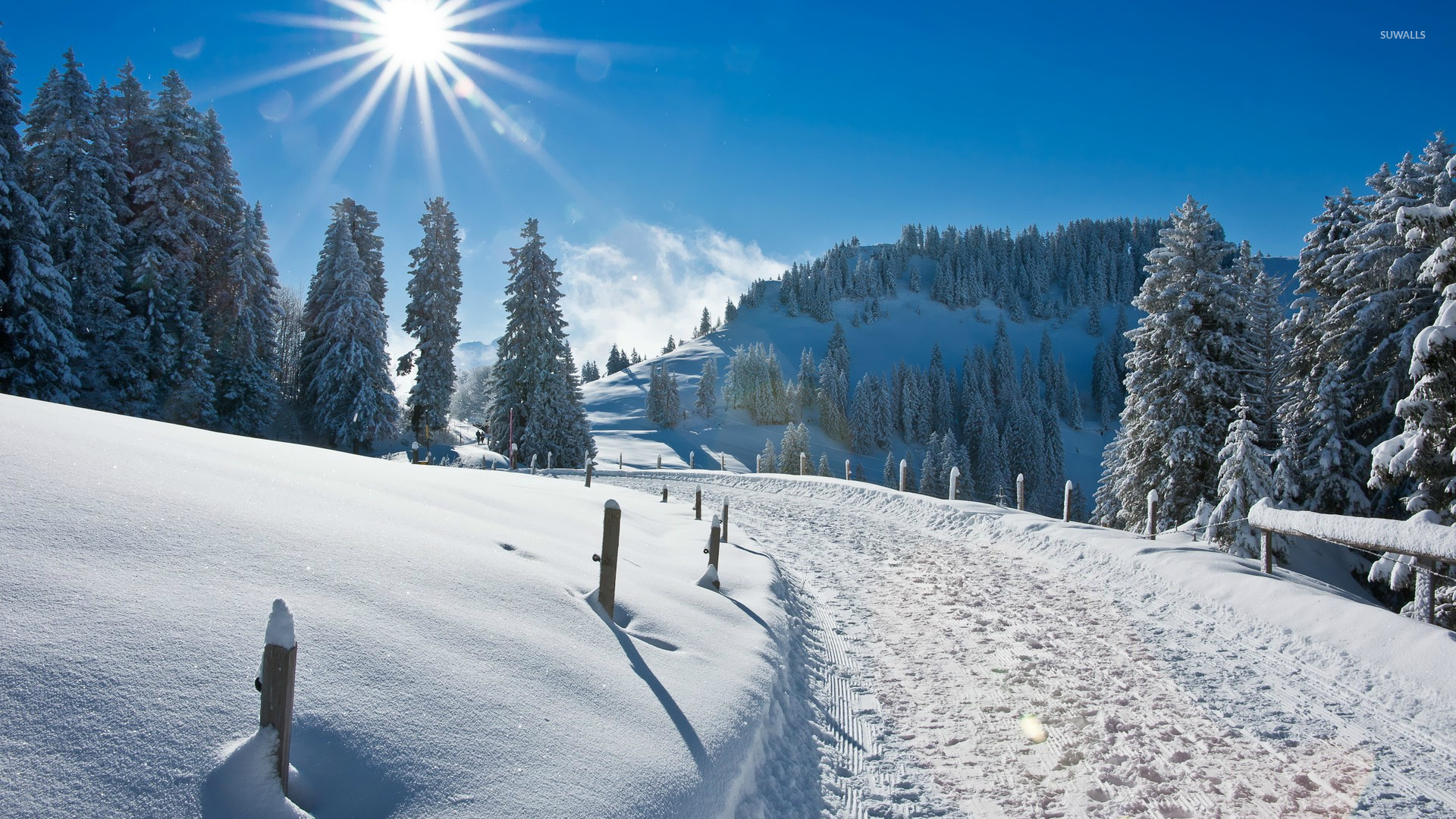 Sunny winter wallpaper   Nature wallpapers   16472