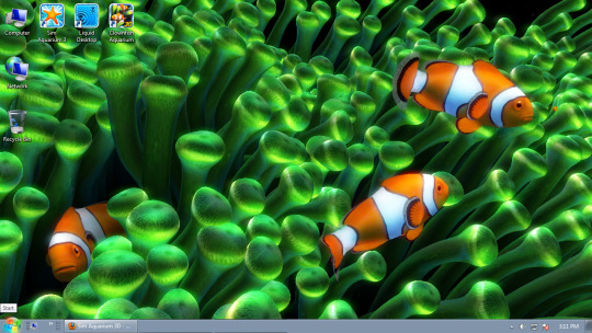 Clownfish Aquarium Live Wallpaper Screensaver And