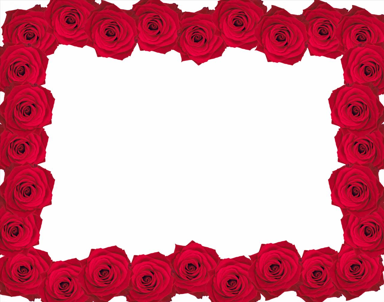 Related Pictures Red Rose Background By George Hodan Car