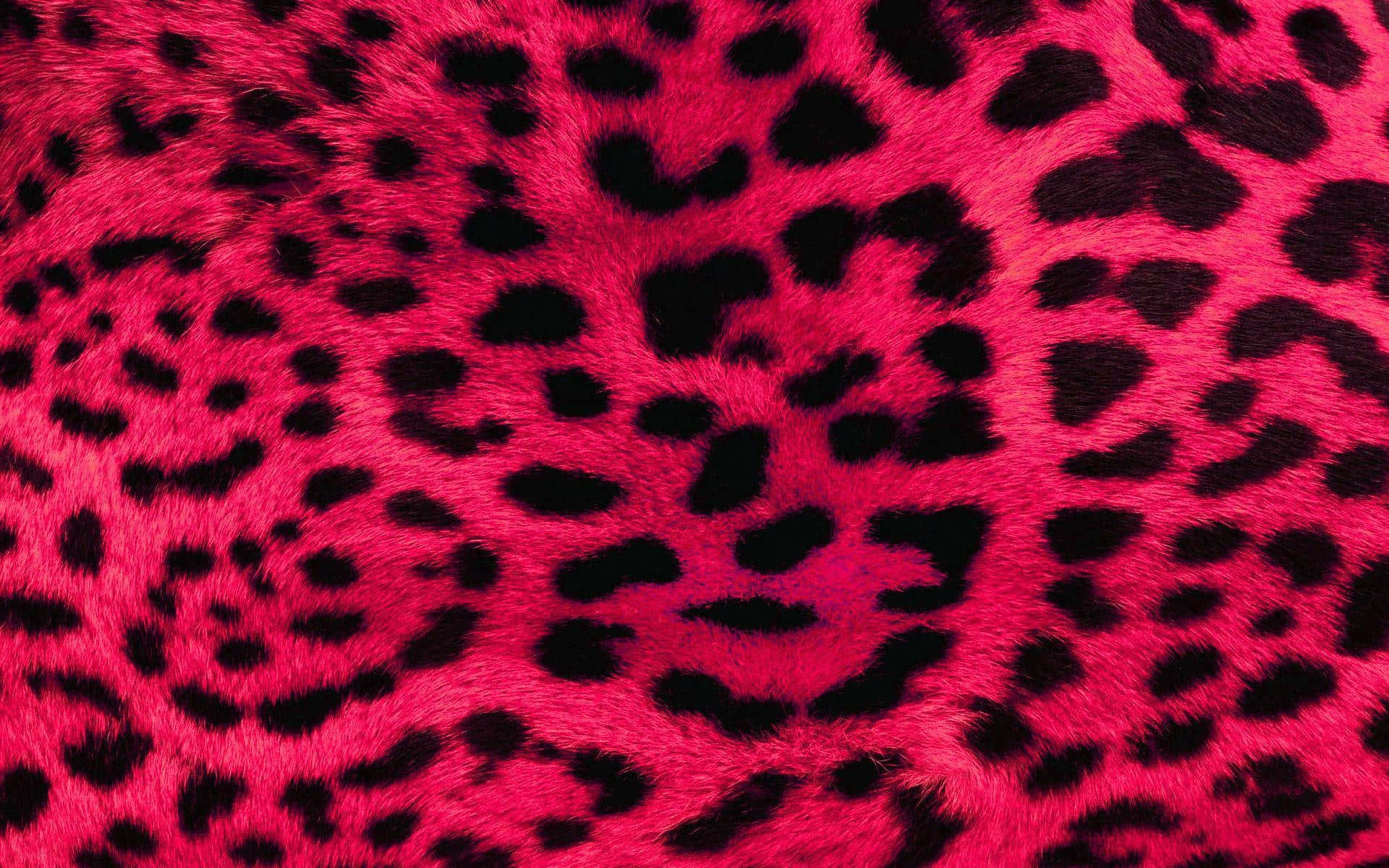 Aesthetic Cute Cheetah Print Wallpaper